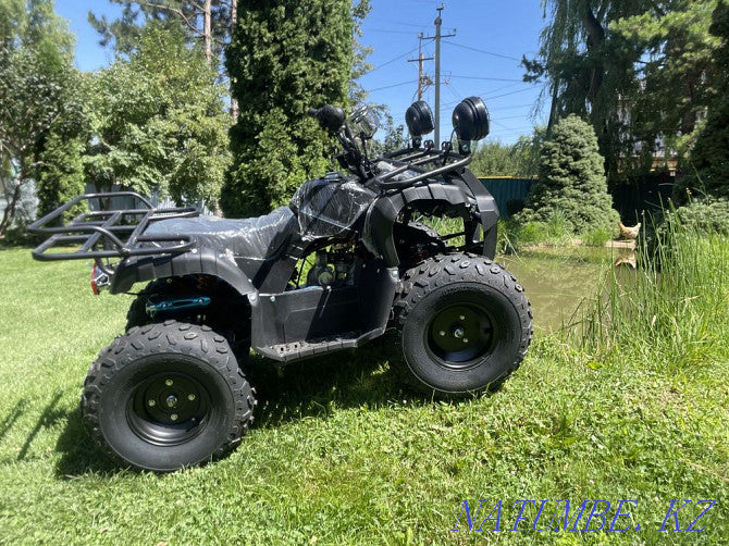 Snow Electric ATV – Eco-Power Meets Extreme Winter Performance