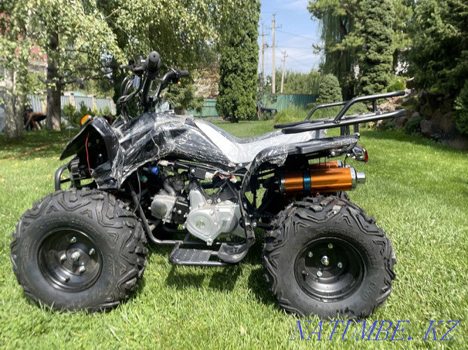 Snow Electric ATV – Eco-Power Meets Extreme Winter Performance