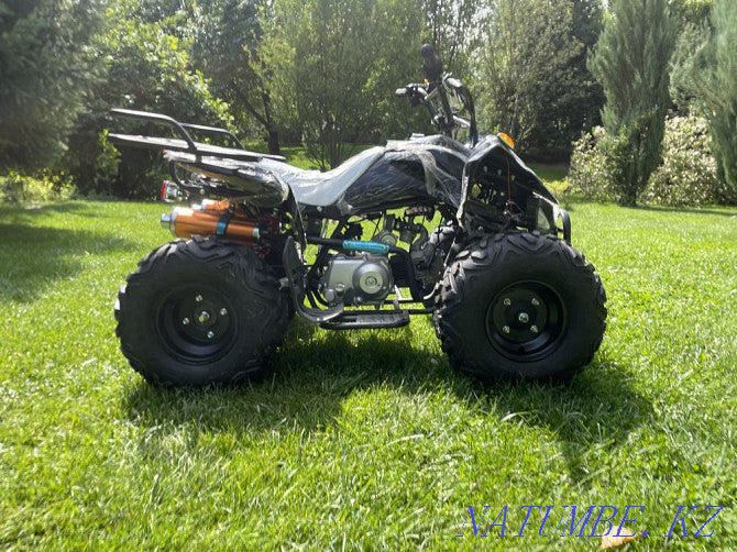Snow Electric ATV – Eco-Power Meets Extreme Winter Performance