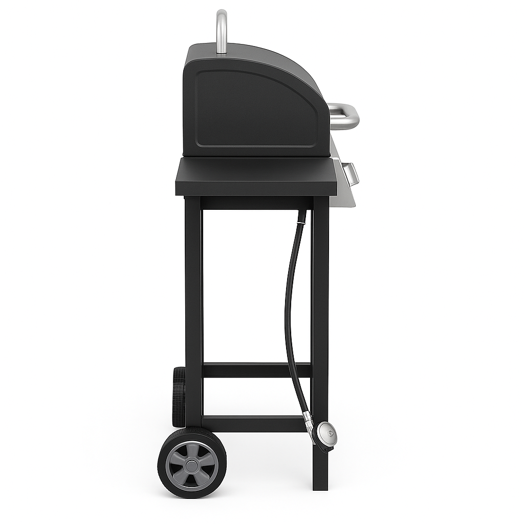 2-Burner Propane Gas Grill - Stainless Steel with Side Shelves