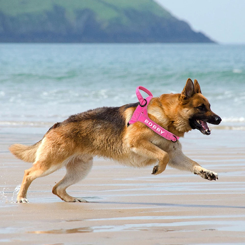Survival Now™ Personalized Dog Military Tactical Harness