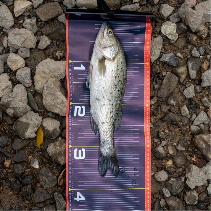 Waterproof Foldable Fish Ruler – 135cm/53in