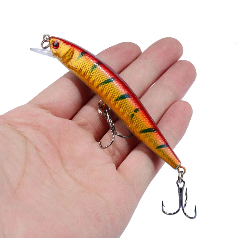 Japanese Minnow Fishing Lure, Floating Crankbait
