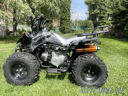 Snow Electric ATV – Eco-Power Meets Extreme Winter Performance
