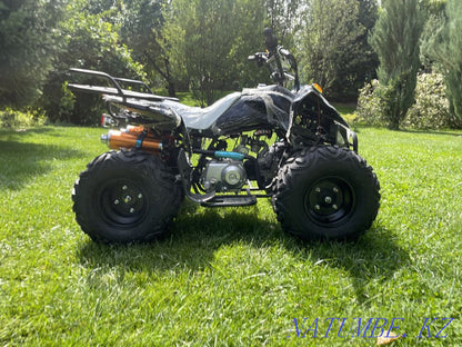 Snow Electric ATV – Eco-Power Meets Extreme Winter Performance