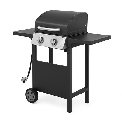 2-Burner Propane Gas Grill - Stainless Steel with Side Shelves