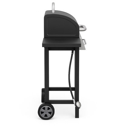 2-Burner Propane Gas Grill - Stainless Steel with Side Shelves
