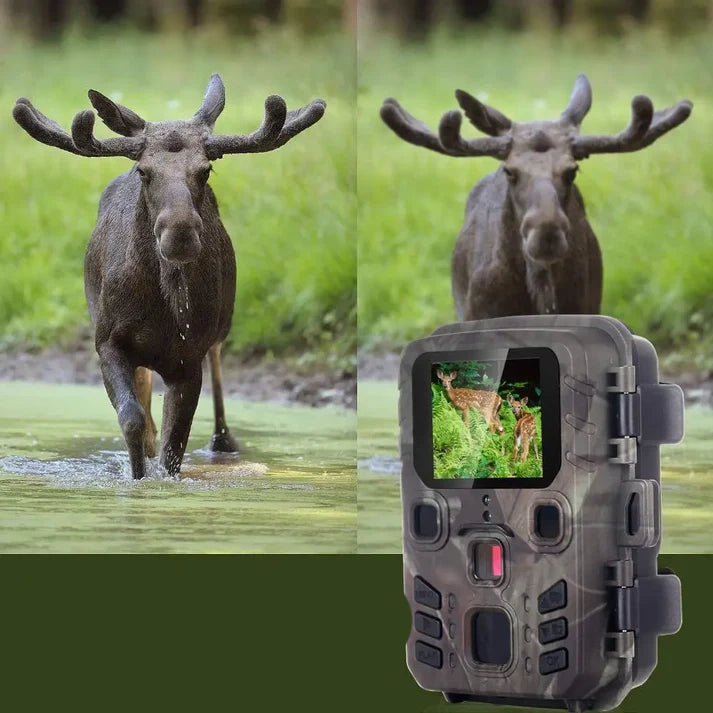 Mini301 Trail Camera – 20MP Photos & Compact Design