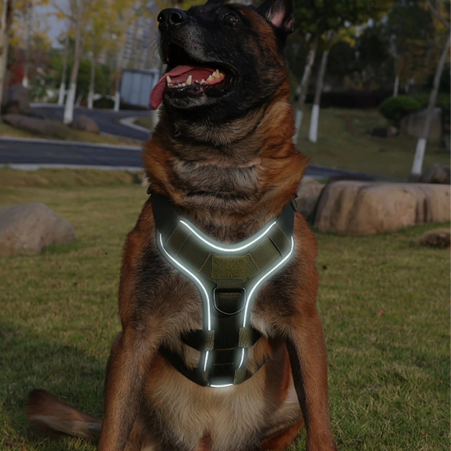 Survival Now™ Heavy-Duty Dog Tactical Harness