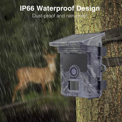 Survival Now™ Solar Wildlife Trail Camera