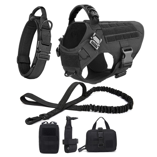Survival Now™ Large Dog Collar, Harness & Leash Set