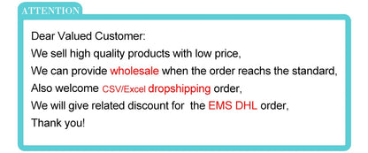Survival Now™ 10.26-Inch Portable Wireless Car Play Screen