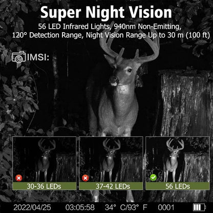Survival Now™ Solar Wildlife Trail Camera