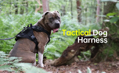 Survival Now™ K9 Tactical Military Vest & Leash Set