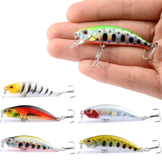 Minnow Fishing Lure – 6cm Slow-Sinking Crankbait