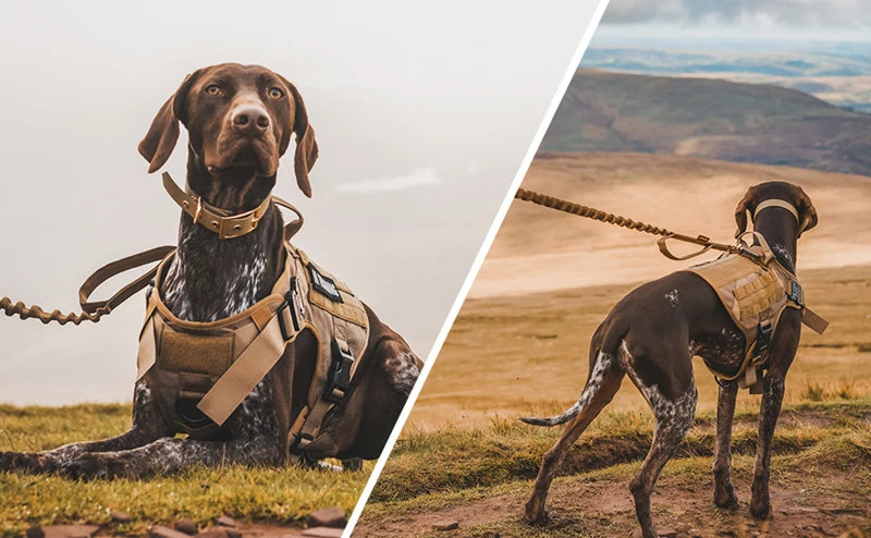 Survival Now™ K9 Tactical Military Vest & Leash Set