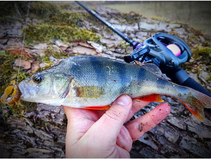 Survival Now™ Dark Wolf 135g Bait cast Reel