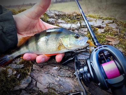 Survival Now™ Dark Wolf 135g Bait cast Reel
