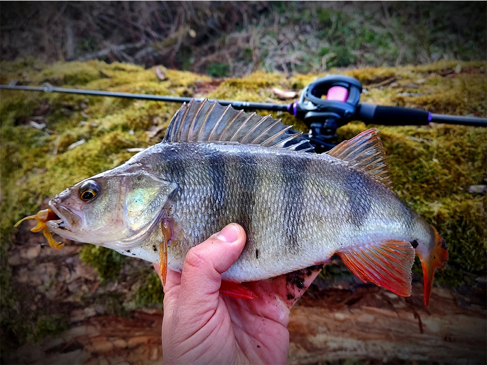 Survival Now™ Dark Wolf 135g Bait cast Reel